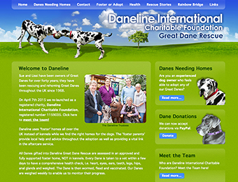 Web design - Daneline International Charitable Foundation website